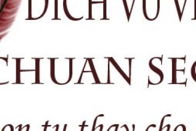 Dịch vụ viết bài chuẩn SEO
