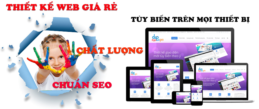 Thiết kế web giá rẻ chuyên nghiệp